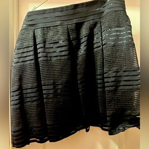Black Mesh Skirt